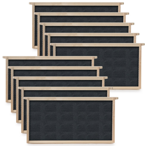 10 Frame Replacement Foundations for Langstroth Beehive